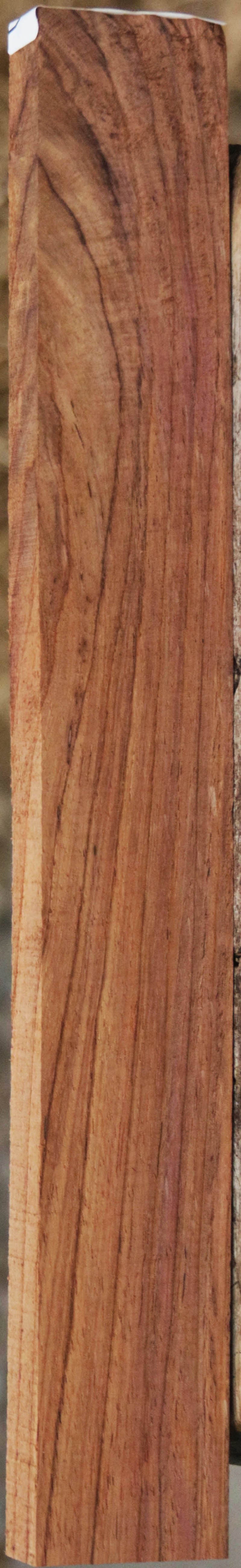 Panama Rosewood