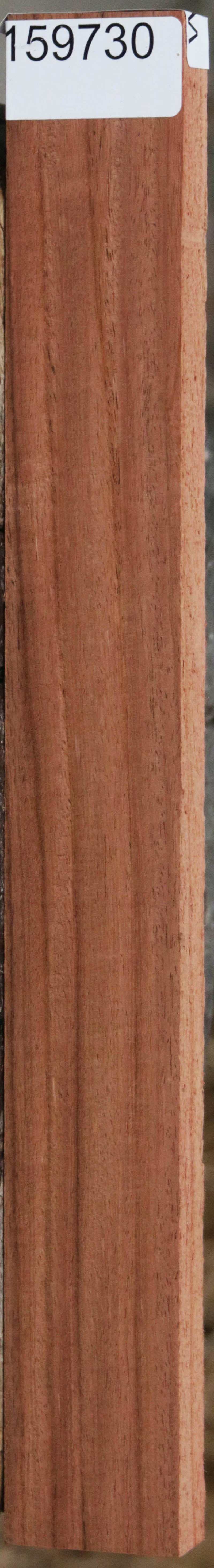 Panama Rosewood