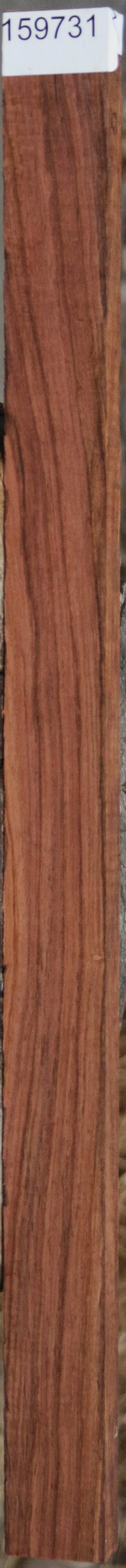 Panama Rosewood