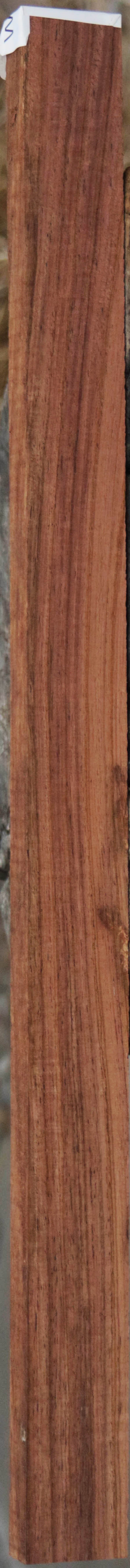 Panama Rosewood
