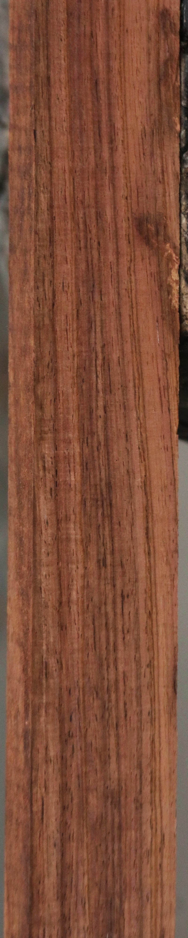 Panama Rosewood