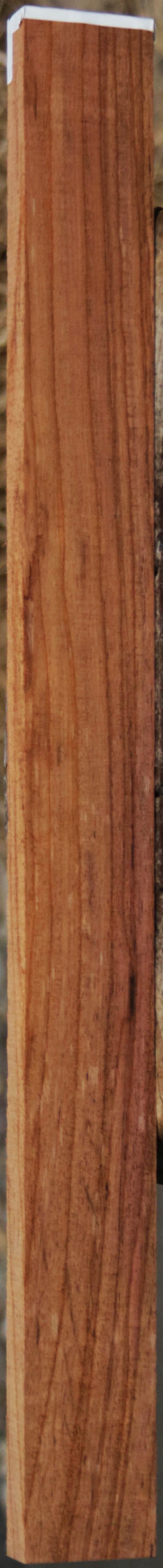 Panama Rosewood
