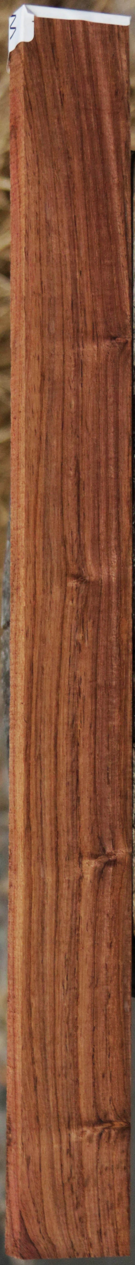 Panama Rosewood