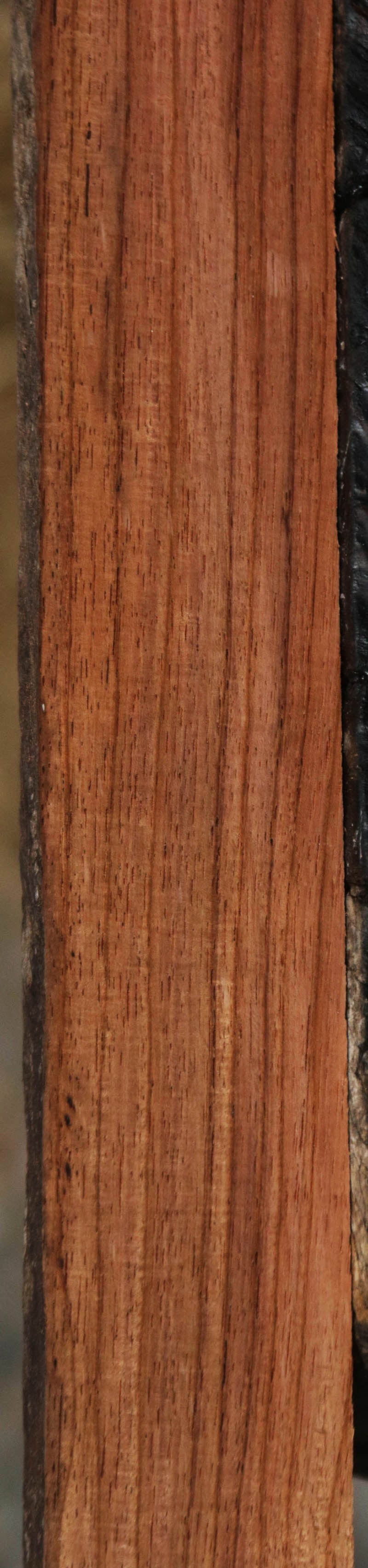 Panama Rosewood