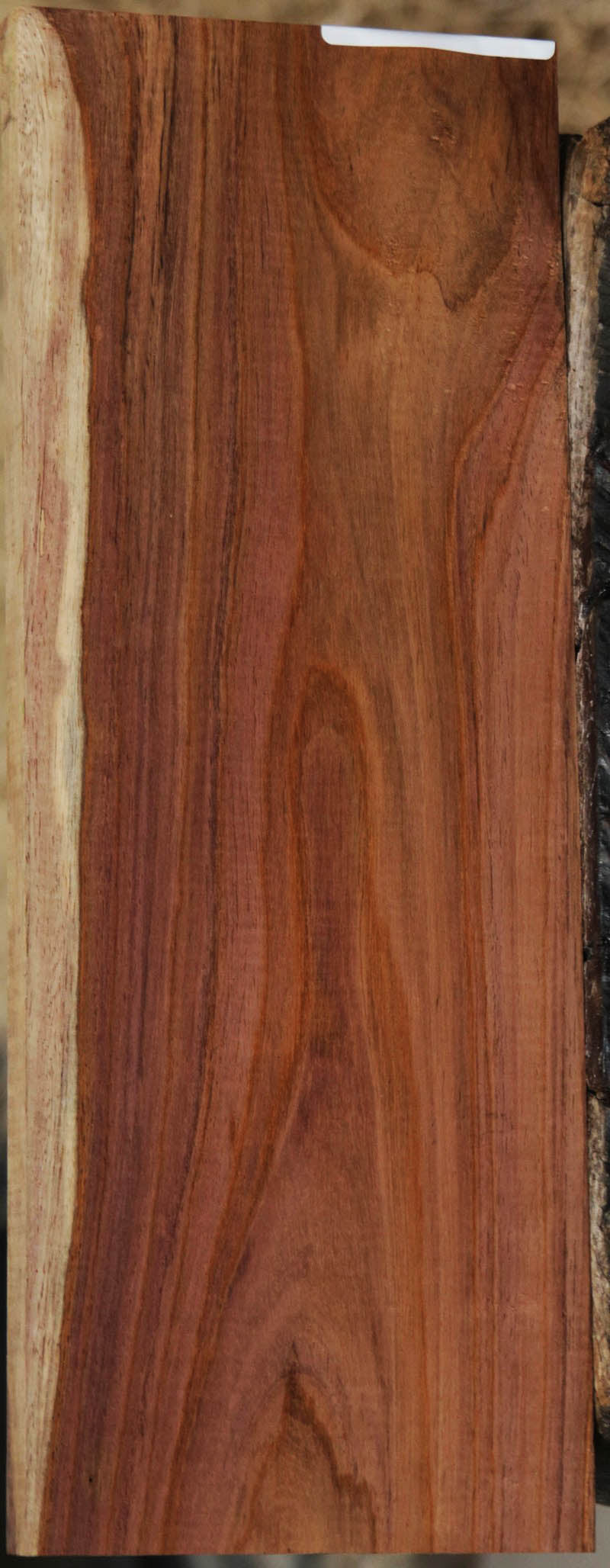 Panama Rosewood