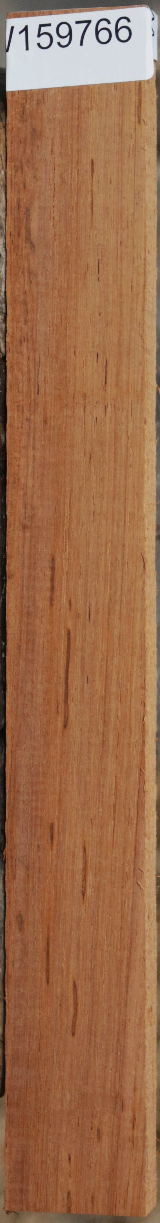 Panama Rosewood