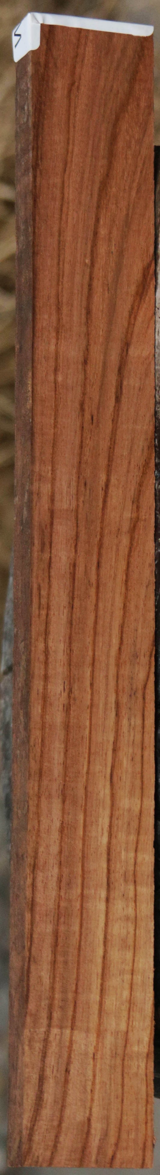 Panama Rosewood
