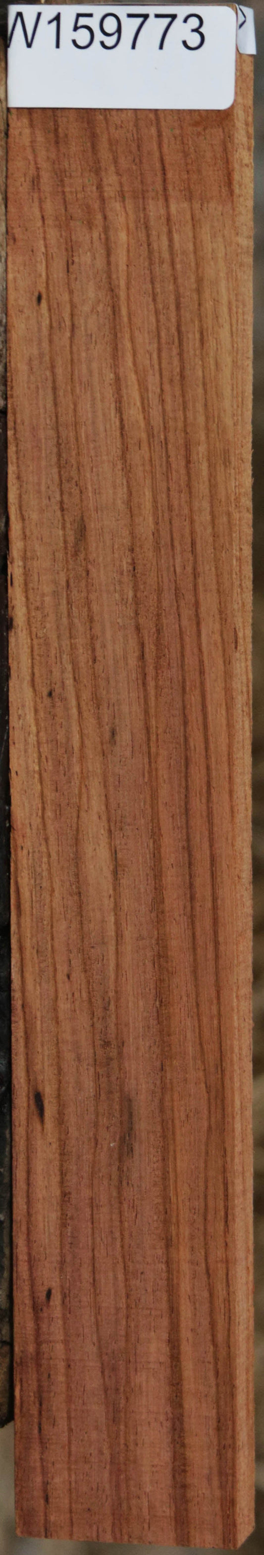 Panama Rosewood