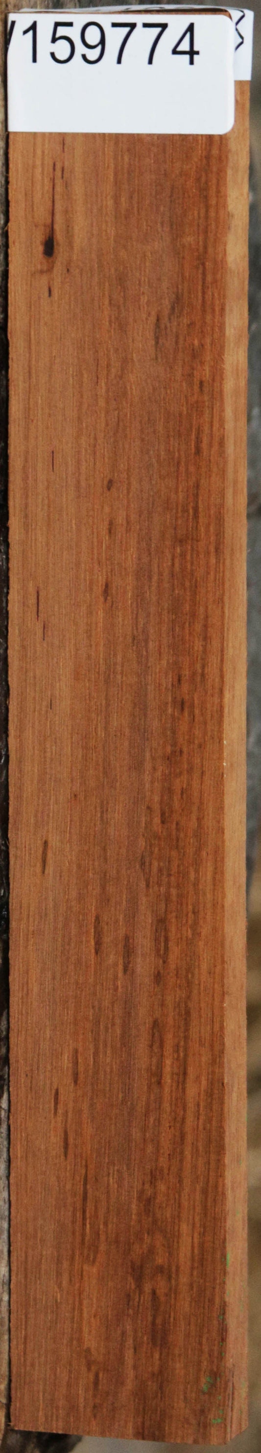 Panama Rosewood