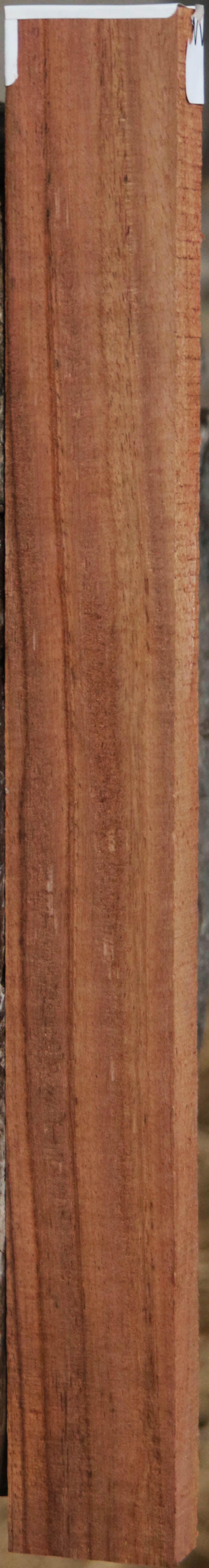 Panama Rosewood