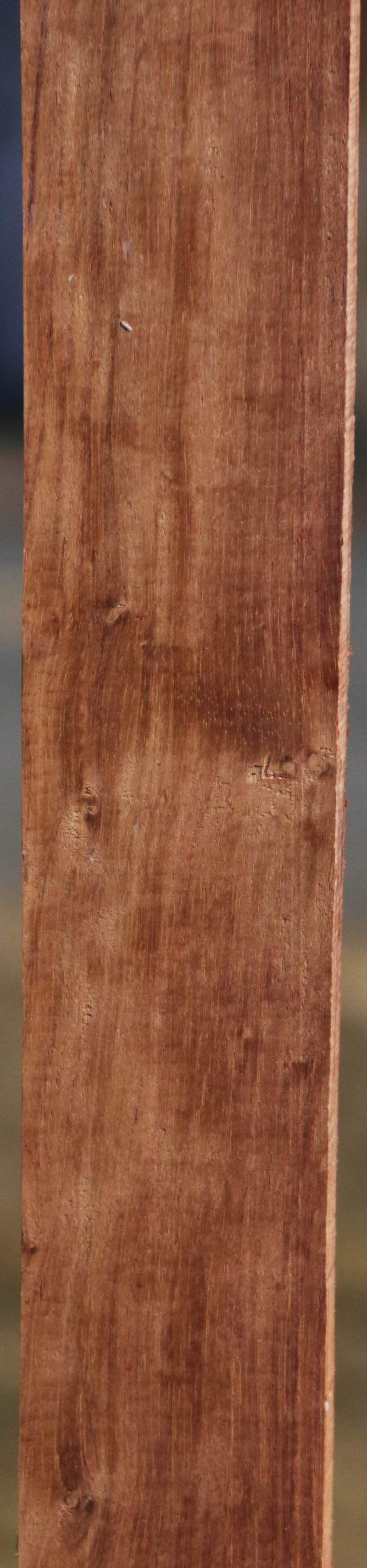 Honduras Rosewood Lumber