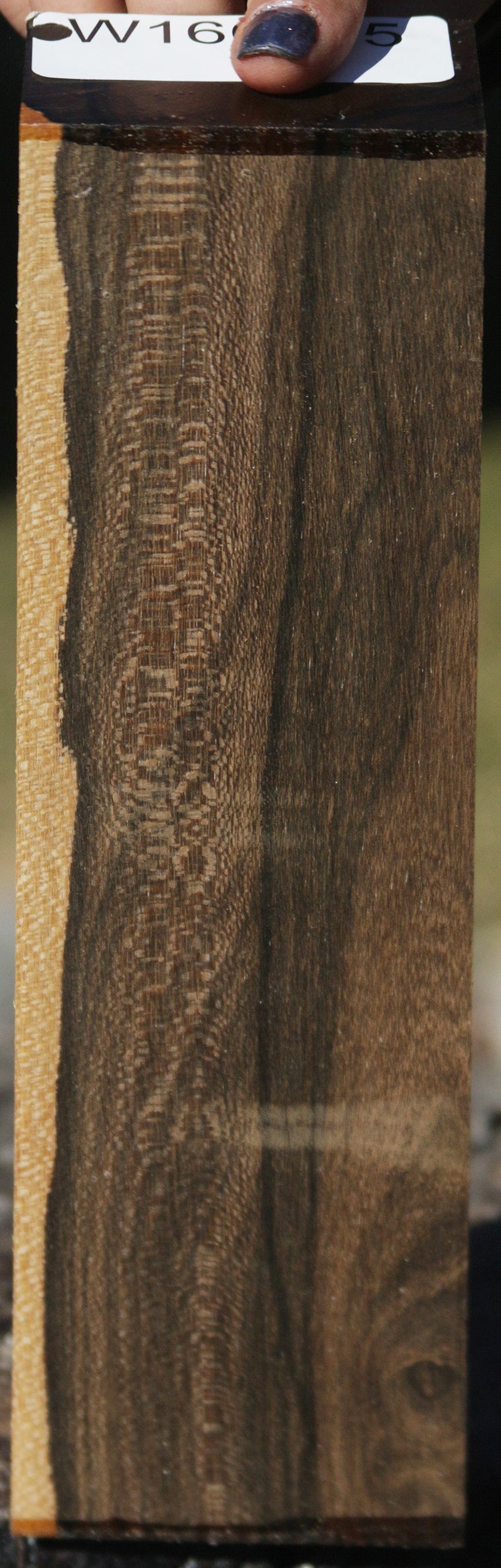 Exhibition Ziricote Lumber