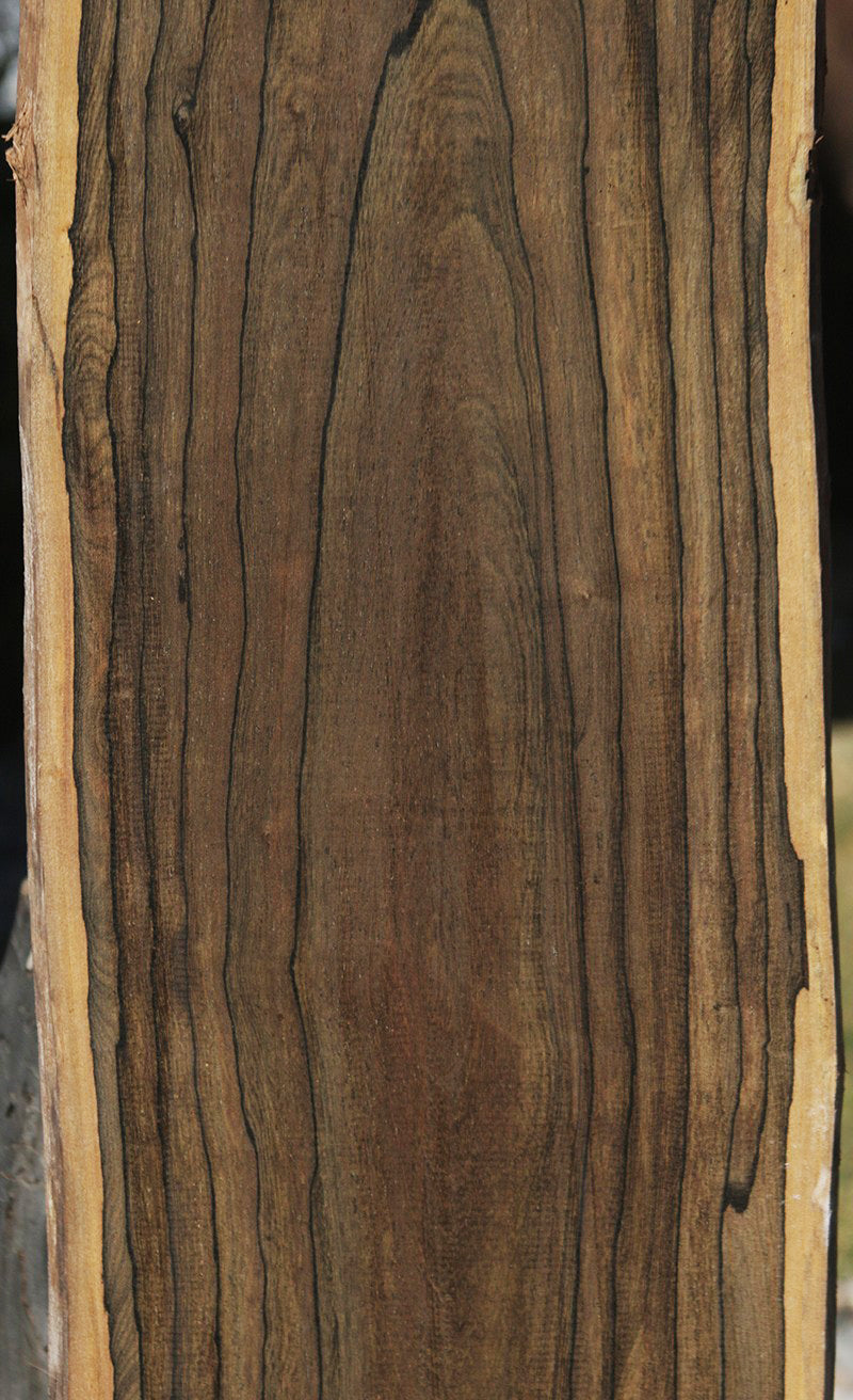 Exhibition Live Edge Ziricote Lumber
