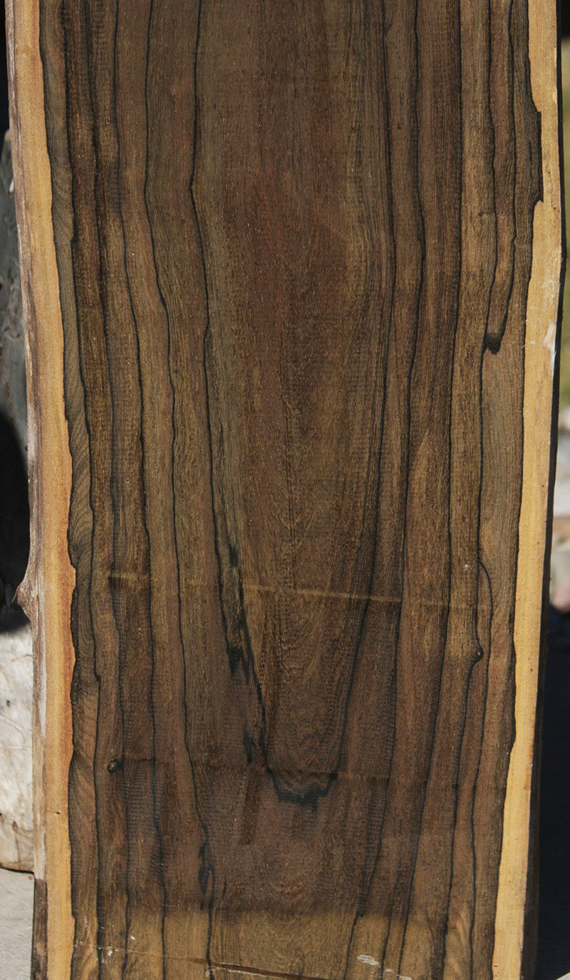 Exhibition Live Edge Ziricote Lumber