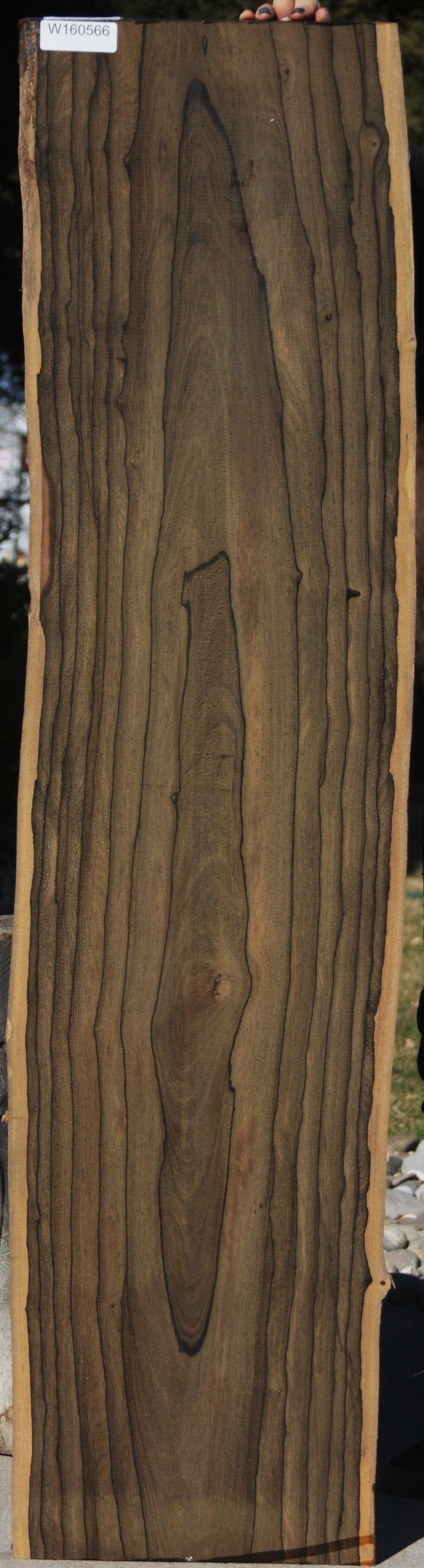 Exhibition Live Edge Ziricote Lumber