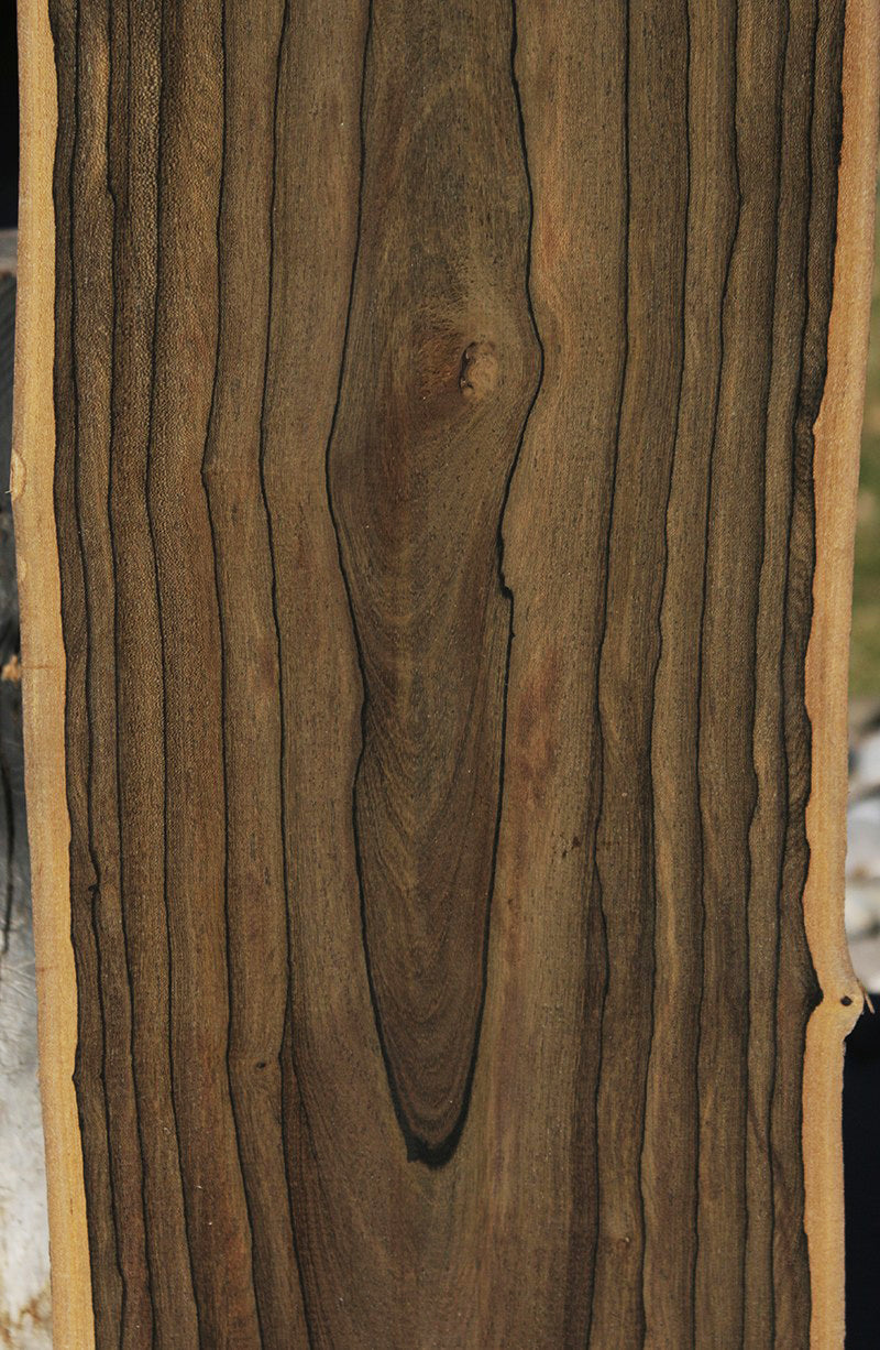 Exhibition Live Edge Ziricote Lumber