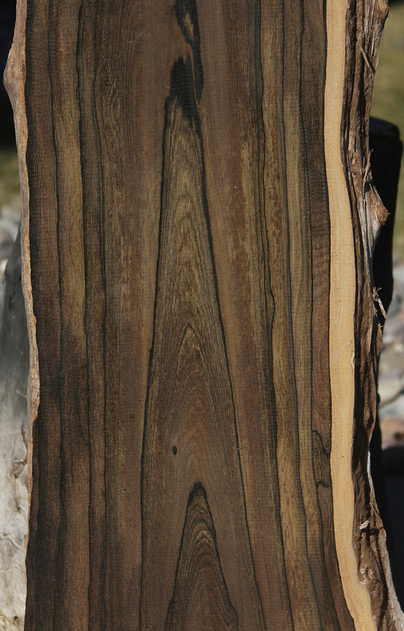 Exhibition Live Edge Ziricote Lumber