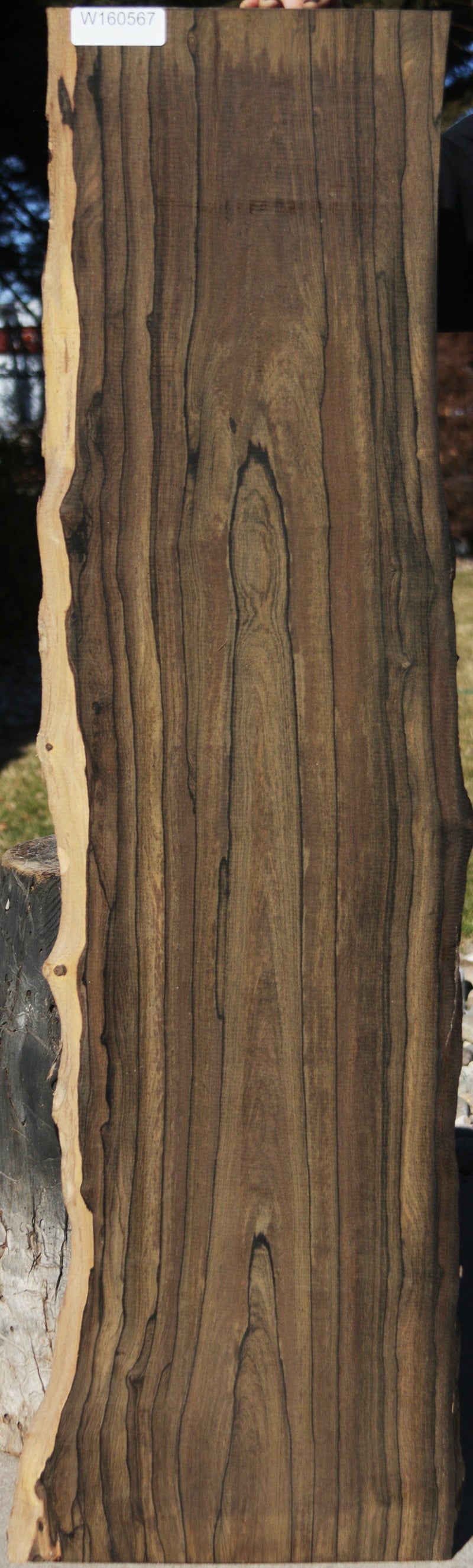 Exhibition Live Edge Ziricote Lumber