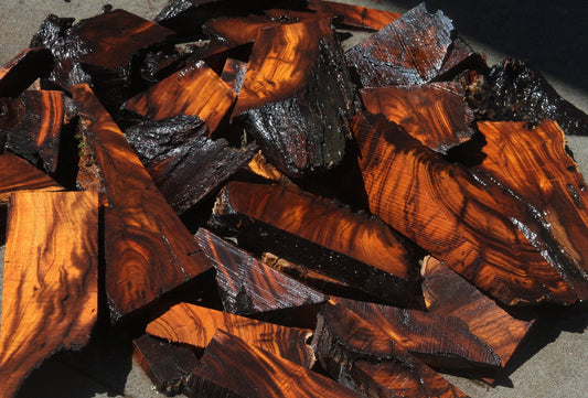 Desert Ironwood Cut Offs - Medium Box (MFRB)